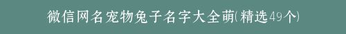 微信网名宠物兔子名字大全萌（精选49个）