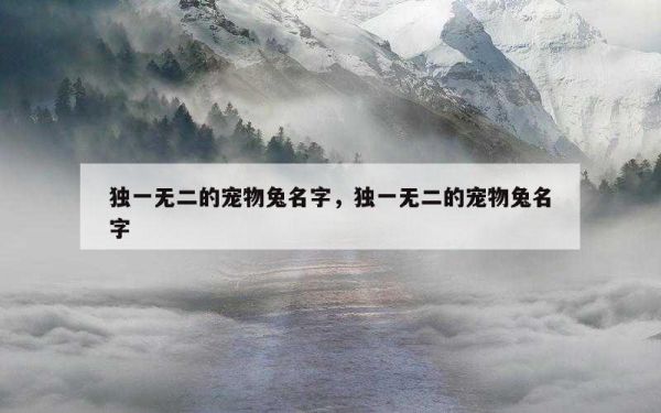 独一无二的宠物兔名字，独一无二的宠物兔名字