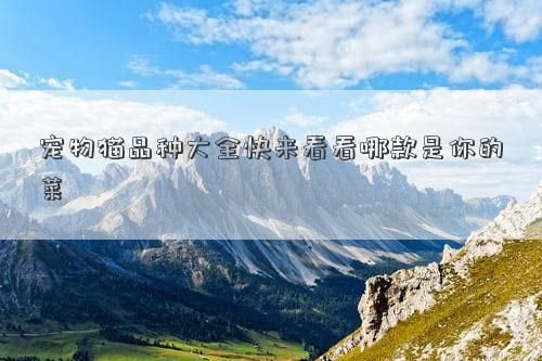 宠物猫品种大全快来看看哪款是你的菜