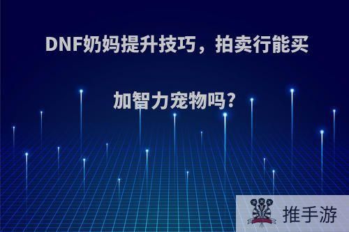 DNF奶妈提升技巧，拍卖行能买加智力宠物吗?