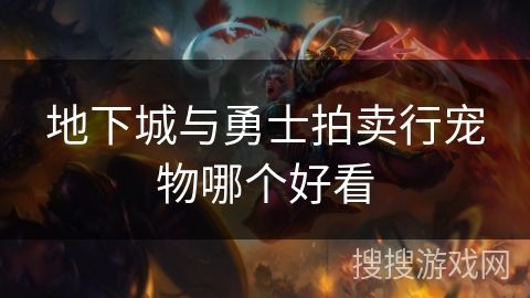 地下城与勇士拍卖行宠物哪个好看