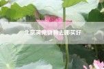 北京买宠物狗去哪买好