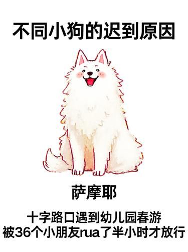 不同小狗的迟到原因|||