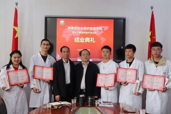 湖南农大零基础宠物医疗培训课程