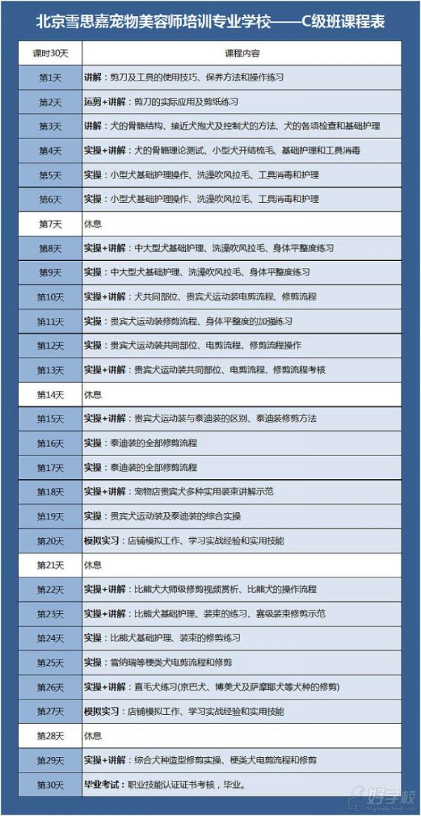C级班课程内容