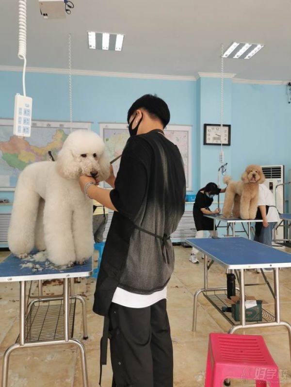 教学现场