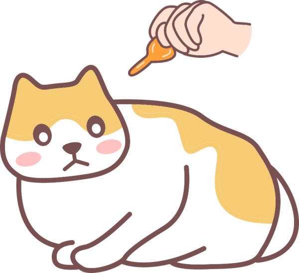 猫咪驱虫