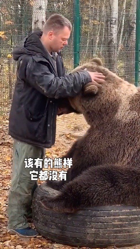 在俄罗斯，还真有人把凶猛的棕熊当宠物养…………