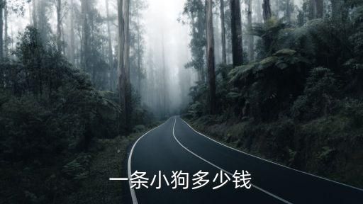 一条小狗多少钱