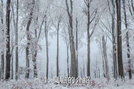 1. 臭鼬的介绍