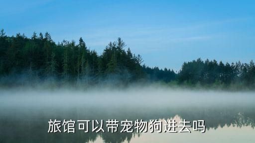 旅馆可以带宠物狗进去吗