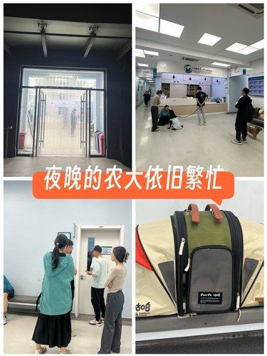 致敬农大的医护人员