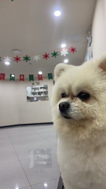 医术超赞 医心更美~