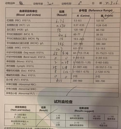 猫体检血常规查什么？需要了解哪些关键指标？