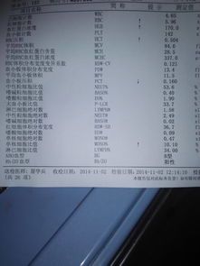 宠物血常规检查费用及了解