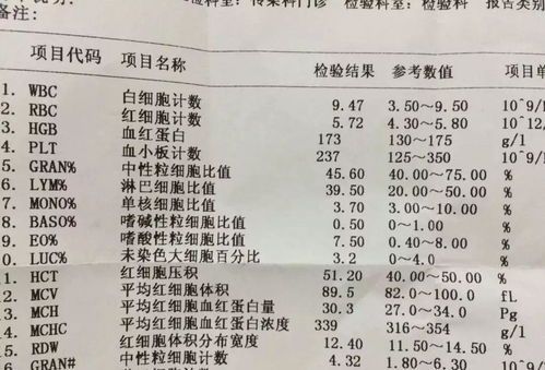 宠物血常规检查费用及了解