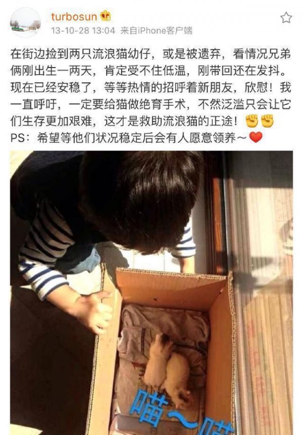 娱乐圈里好多明星养宠物，既然选择了就请不要抛弃