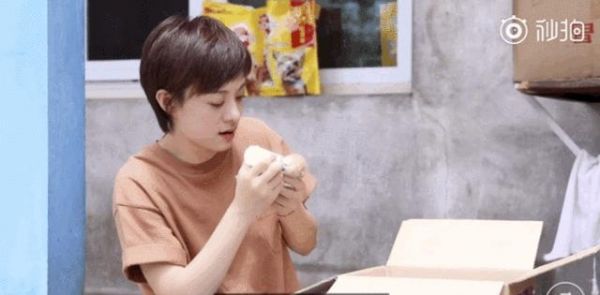 娱乐圈里好多明星养宠物，既然选择了就请不要抛弃