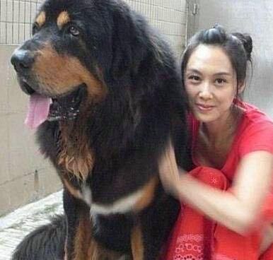 你知道明星们都养了些什么宠物吗？孙俪竟然养了一条