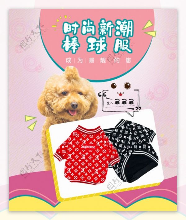 宠物衣服