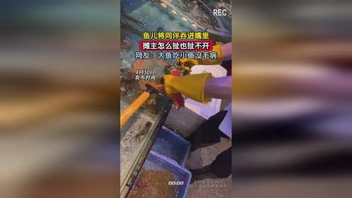 鱼儿将同伴吞进嘴里，摊主怎么扯也扯不开，网友：大鱼吃小鱼没毛病