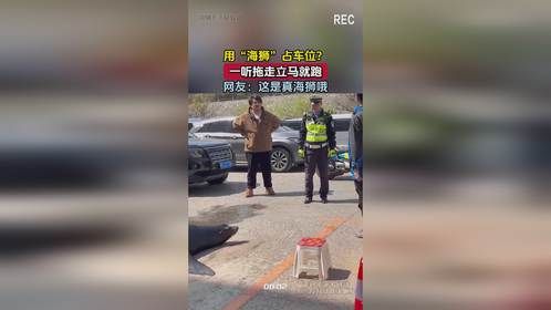 用“海狮”占车位？一听拖走立马就跑，网友：这是真海狮哦