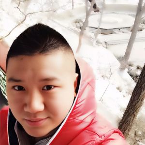 p5w司马