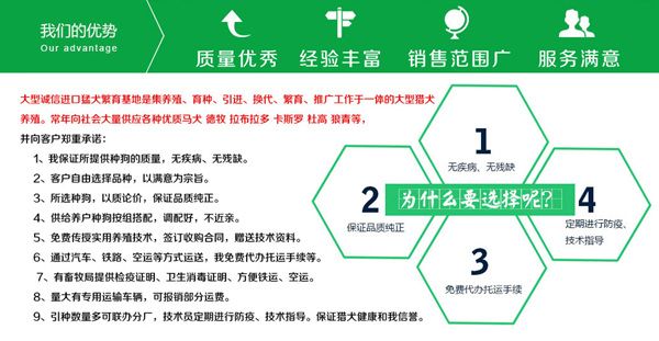 山西省晋城市宠物市场
