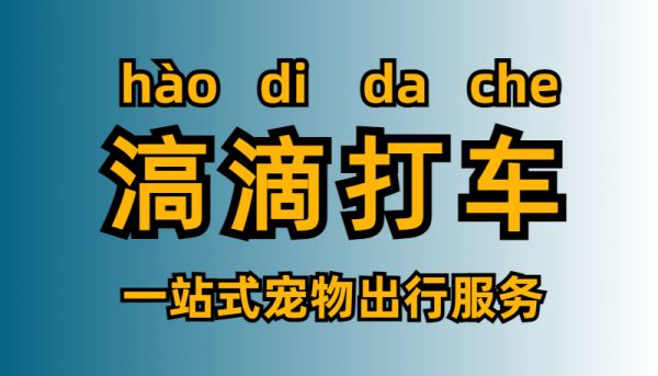 滈滴打车带拼音.png