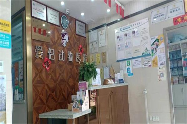 爱侣宠物医院