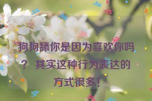 狗狗舔你是因为喜欢你吗？ 其实这种行为表达的方式很多！