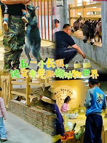 五一遛娃必去！北京这家萌宠馆太好逛了