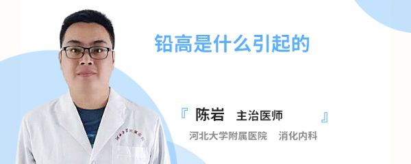 铅高是什么引起的