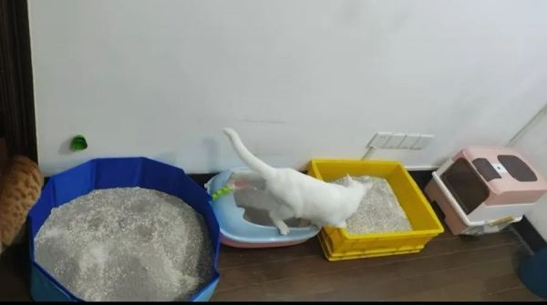 上海男子意外：春节这个兼职比上班赚多了！但需警惕潜在风险→
