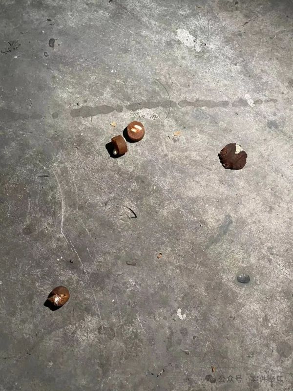 沪一小区发现不明物质，多只宠物狗死亡！警方已介入