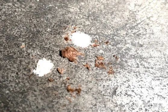 沪一小区发现不明物质，多只宠物狗死亡！警方已介入
