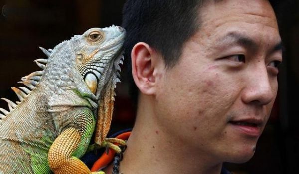 他们养着不寻常的宠物
