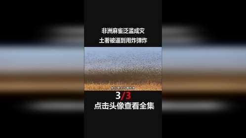 上百亿的数量有多可怕