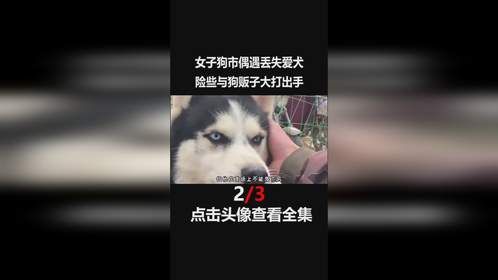 女子狗市偶遇丢失爱犬