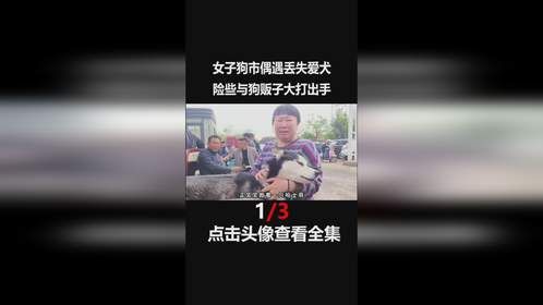 女子怀疑狗贩子是偷狗贼