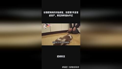 女孩把狗狗托付给闺蜜，没想到7天后变成丧尸，再见狗时痛心不已