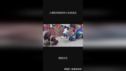 人模狗样的陪伴小女孩成长