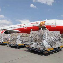 揭阳航空快递|武汉到揭阳宠物航空托运|24小时航班全天服务
