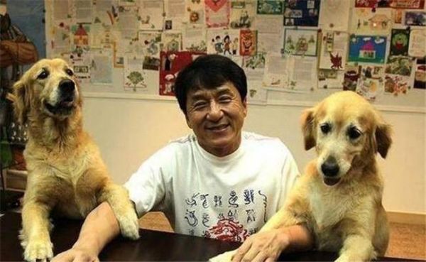 明星们的宠物，谢霆锋养龟，成龙的狗有人出价200万被拒绝