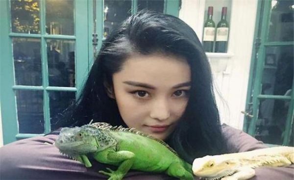 明星们的宠物，谢霆锋养龟，成龙的狗有人出价200万被拒绝