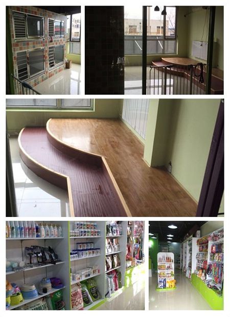 圣宠宠物廊坊香河盛达铂宫店