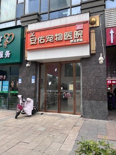 这是一家被低估的店！环境非常的好！