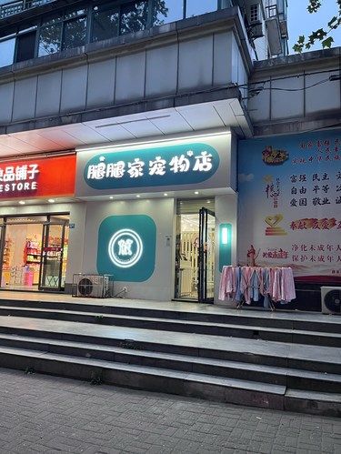 一家位于在香港路上的暖心小店