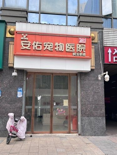 在积玉桥这一家店，真的是被人低估了