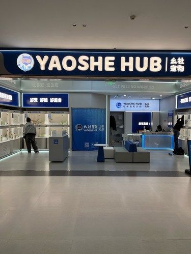 这家店的小动物真是可爱！